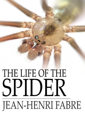 cover image of The Life of the Spider